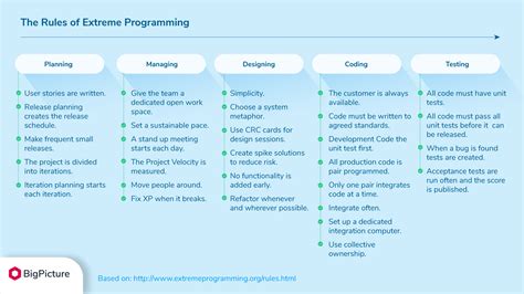 Image result for Project Programming Definition