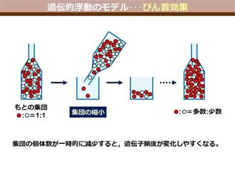 Image result for Example ATS Templates for Process Engineering