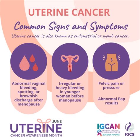 What Is The Prognosis For Stage 4 Endometrial Cancer