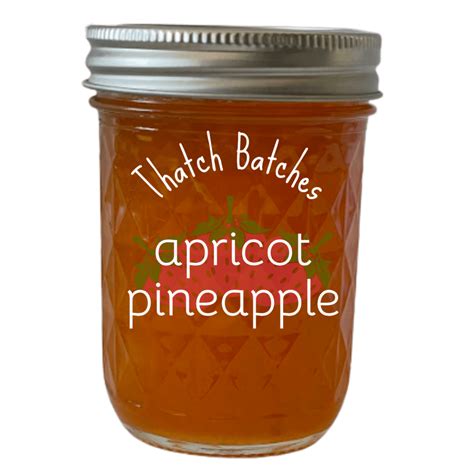 Apricot Pineapple Jam: Sweet, Tart and Tropical – thatchbatches