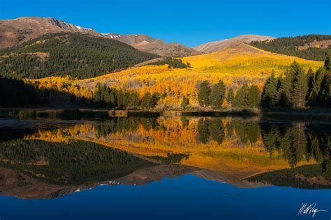 Mount Elbert Autumn Morning (2019) | Twin Lakes, Colorado