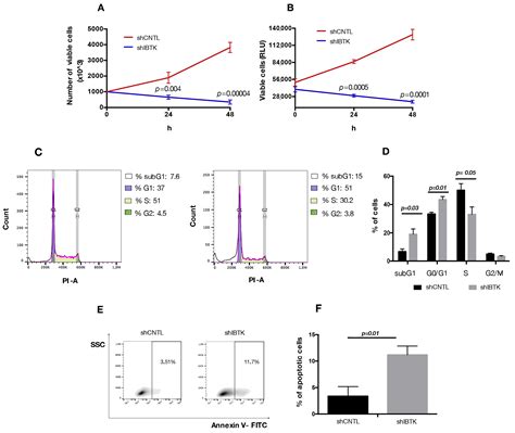 IBtkα Activates the β-Catenin-Dependent Transcription of MYC through ...