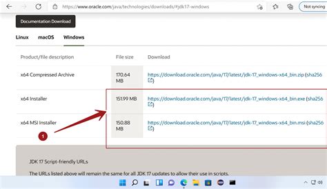 Installing Java Windows 11 的图像结果