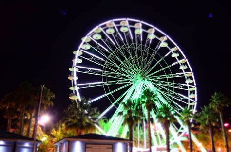 LA GRANDE ROUE DU LAVANDOU (2026) All You Need to Know BEFORE You Go ...