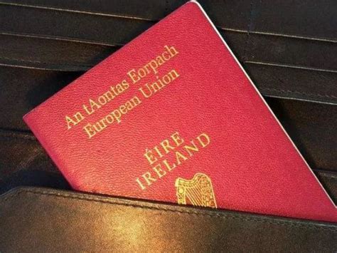 一国顶30+国的爱尔兰护照_哔哩哔哩_bilibili