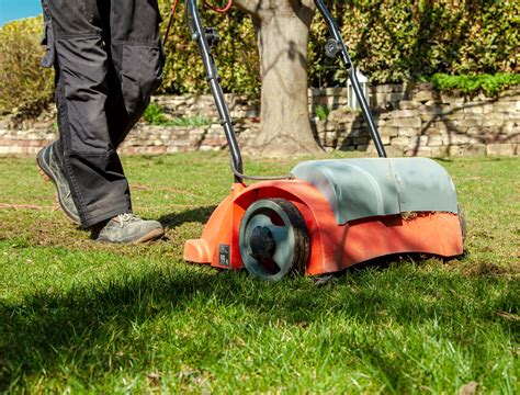 The Best Time to Aerate Your Lawn in Spring