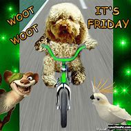 Image result for Happy Good Morning Its Friday