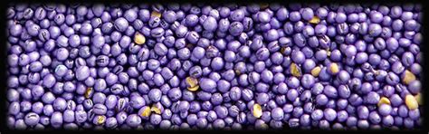 Welcome To Gujarat Export Company