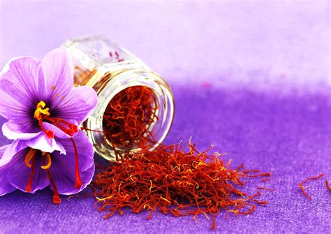 Complete Guide to Saffron Cultivation in India – Khethari