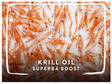 Krill Oil | Krill Oil Capsules | swisse