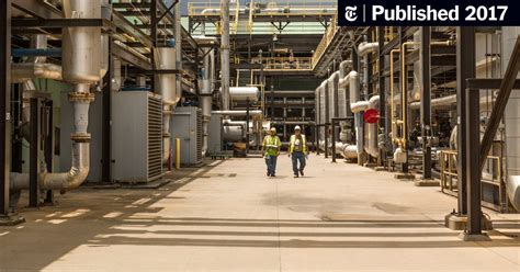 How one company has thrived while defying Trump’s policies | CNN Business