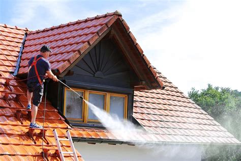 DIY Guide to Roof Cleaning | Twigandthistle