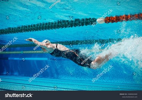 Swimmer 的图像结果