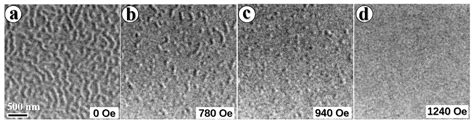 Mixed-Type Skyrmions in Symmetric Pt/Co/Pt Multilayers at Room Temperature