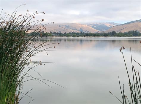 5 Takes On Lake Elizabeth | Fremont, CA Patch