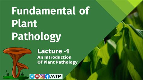 What is Plant pathology? and it's Importance. - Agrobotany
