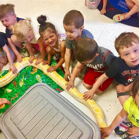 Little Learner Academy - Preschool in Denville, NJ - Winnie