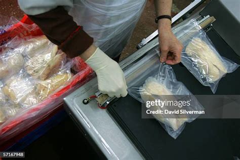 Image result for Processing Geese
