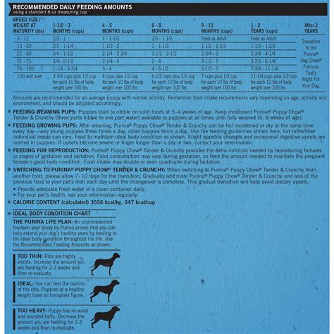 Purina Dog Chow Complete Nutrition Facts | Besto Blog