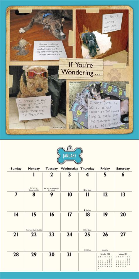 Cat Shaming Calendar 2024 - Preschool Calendar Printable