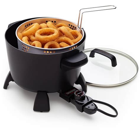 Electric Fryer Type at Rosemary Holland blog