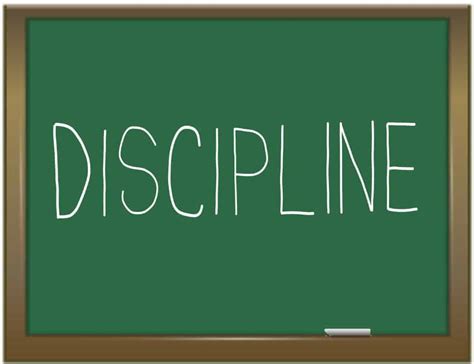 Discipline – Telegraph