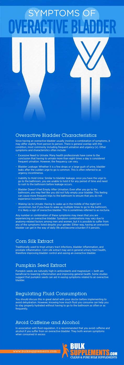 Overactive Bladder: Characteristics, Causes & Treatment