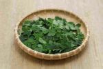 How does moringa affect thyroid patients? - THIP Media