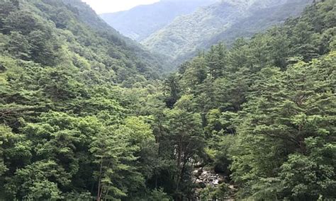 Hyangsan Tourism (2023): Best of Hyangsan, North Korea - Tripadvisor