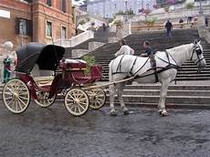 carrozze per cavalli usate oppure scrivici su info autocerimoniaroma it carrozze per cavalli usate oppure scrivici su info autocerimoniaroma it