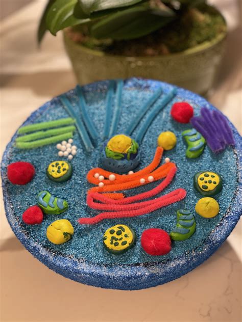 Plant Cell 3d Model Project Ideas