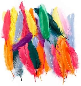 Nimida Natural Dyed Multi-coloured Feathers for Art & Craft / Kids ...
