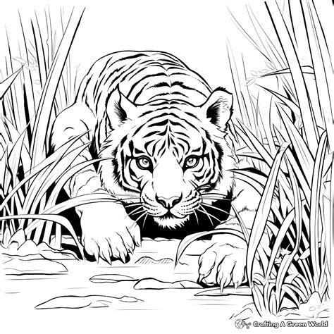 Tiger For Adults Coloring Pages - Free & Printable!