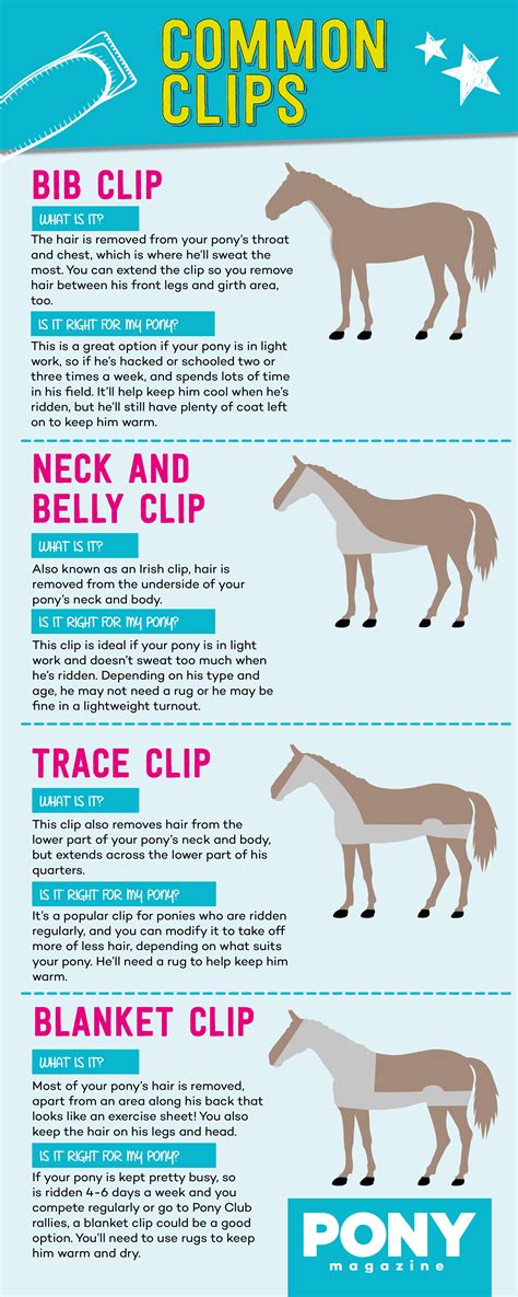 Which clip? | Types of clip for your pony | Pony Magazine