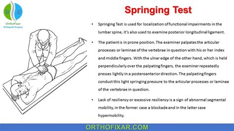 Image result for Pelvic Spring Test