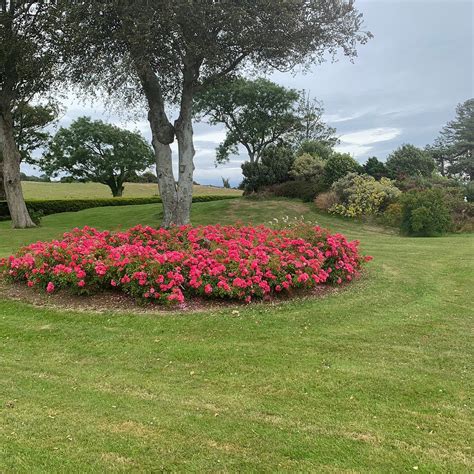 PENMAEN HOUSE (Pwllheli, Wales) - Guesthouse Reviews & Photos - Tripadvisor