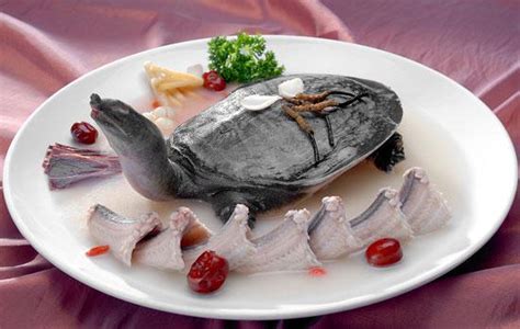 滋陰補腎的上佳宴席食材——甲魚 - 每日頭條