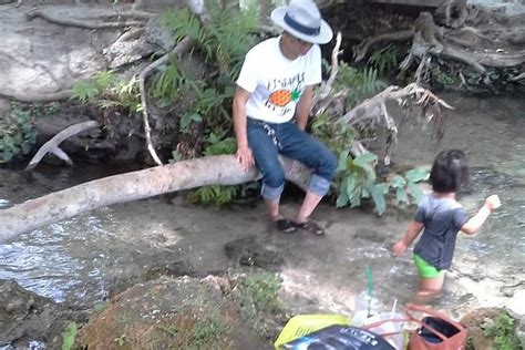 2026 Tea, Elephants And Waterfall (Mae Taeng) - with Reviews & Photos