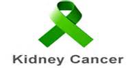Best Kidney transplant Surgeon india, best kidney transplant hospital ...