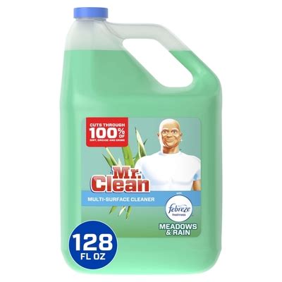Mr. Clean Liquid All Purpose Cleaner, Meadows and India | Ubuy
