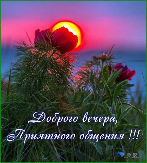 �������� ��������� ���� ������� ���� �������� � �������� ��������� 60 ����