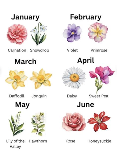 Pin by Mikaela on Snabbsparade pins | January birth flowers, Nothing ...