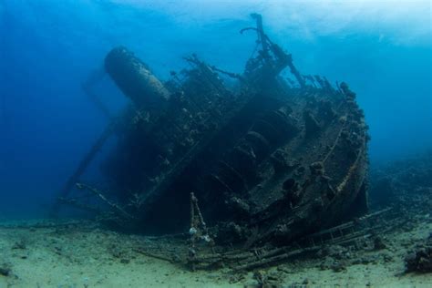 Gameward Dualscar's banner