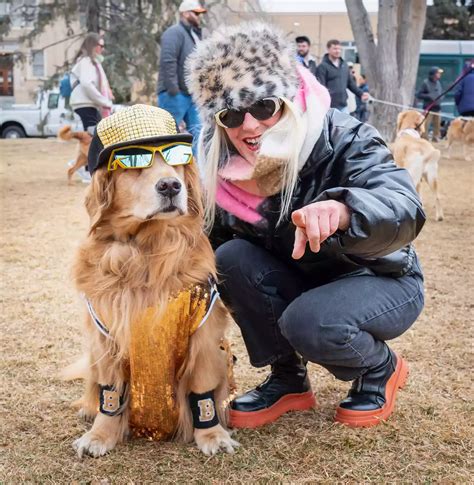 Goldens Take Over Golden - The Most Adorable Retriever Gathering in ...