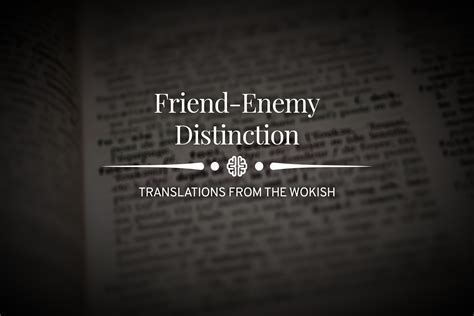 Friend-Enemy Distinction - New Discourses