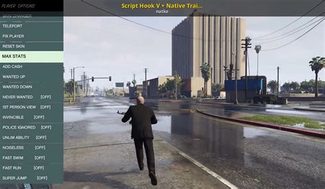 Image result for How to Use Script Hook V