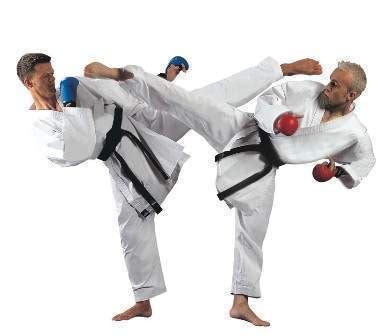 Image result for Karate Basic Practice