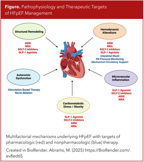 Focus on Heart Failure | HFpEF: Where We Stand in 2025 - American ...