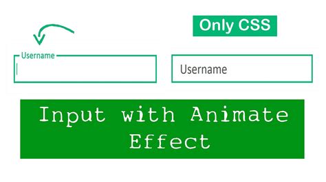 Image result for Input CSS Effect