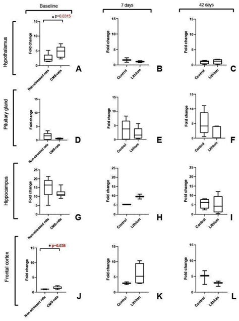 Brain Sciences | An Open Access Journal from MDPI